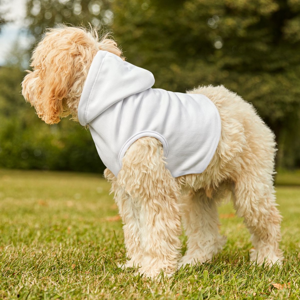 68f75c485a3bba6e4d08bc94_Pet Hoodie_img9.jpg