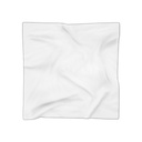 68f76280678566bf4301cebf_Poly Scarf_img1.jpg