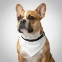 Pet Bandana Collar - Personalized All-Over Printed Design