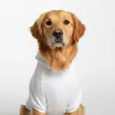 Pet Hoodie - Personalized All-Over Printed Design